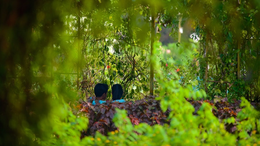 Jardins suspendus mettant en vedette parc