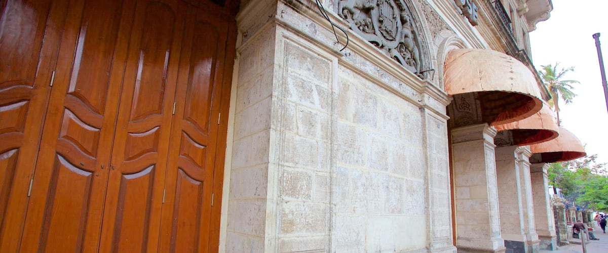 Royal Opera House showing heritage elements