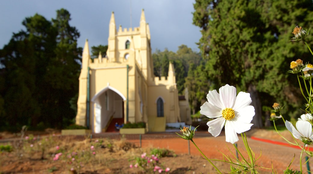 St. Stephen\'s Church which includes a church or cathedral and flowers