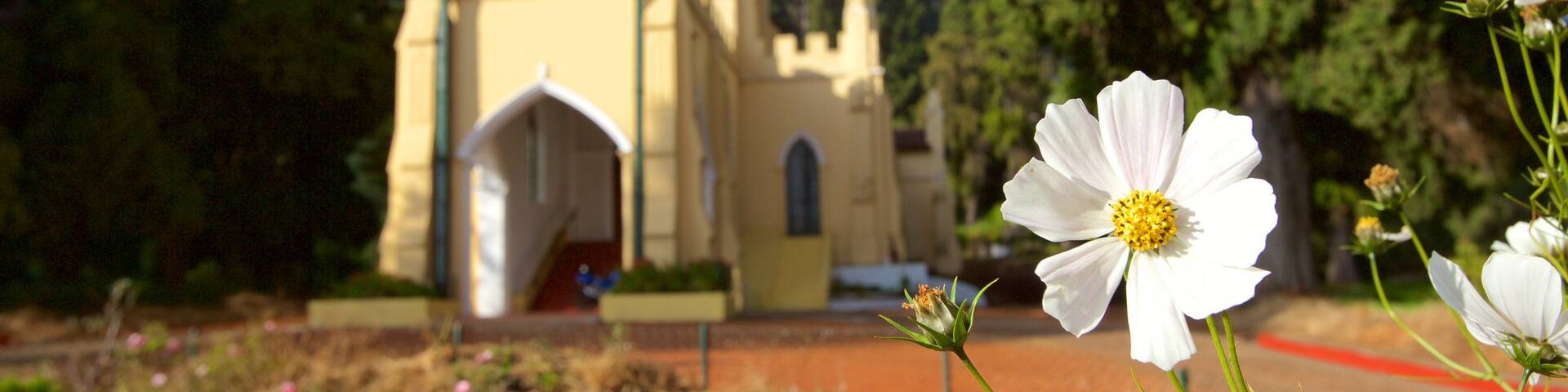 St. Stephen\'s Church showing flowers and a church or cathedral
