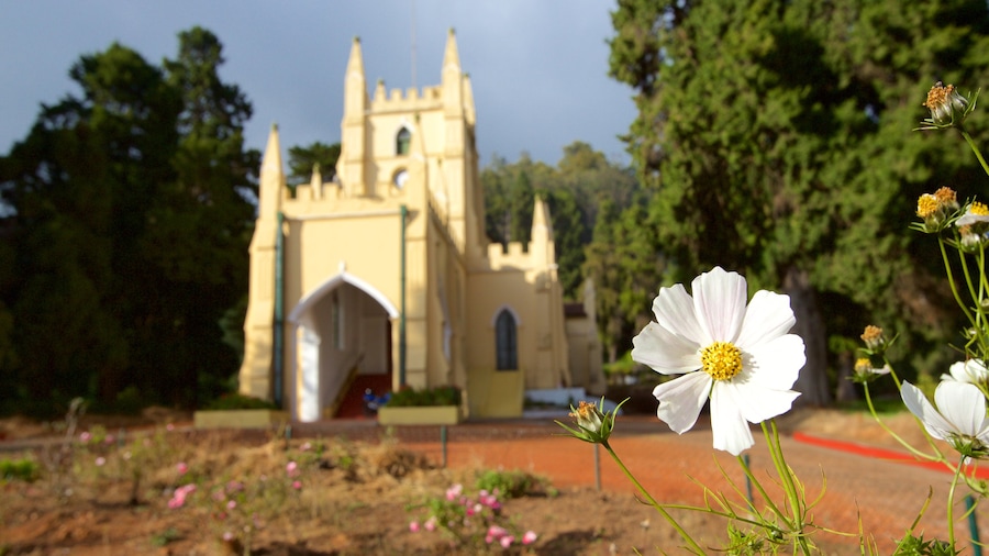 St. Stephen\'s Church bevat een kerk of kathedraal en bloemen