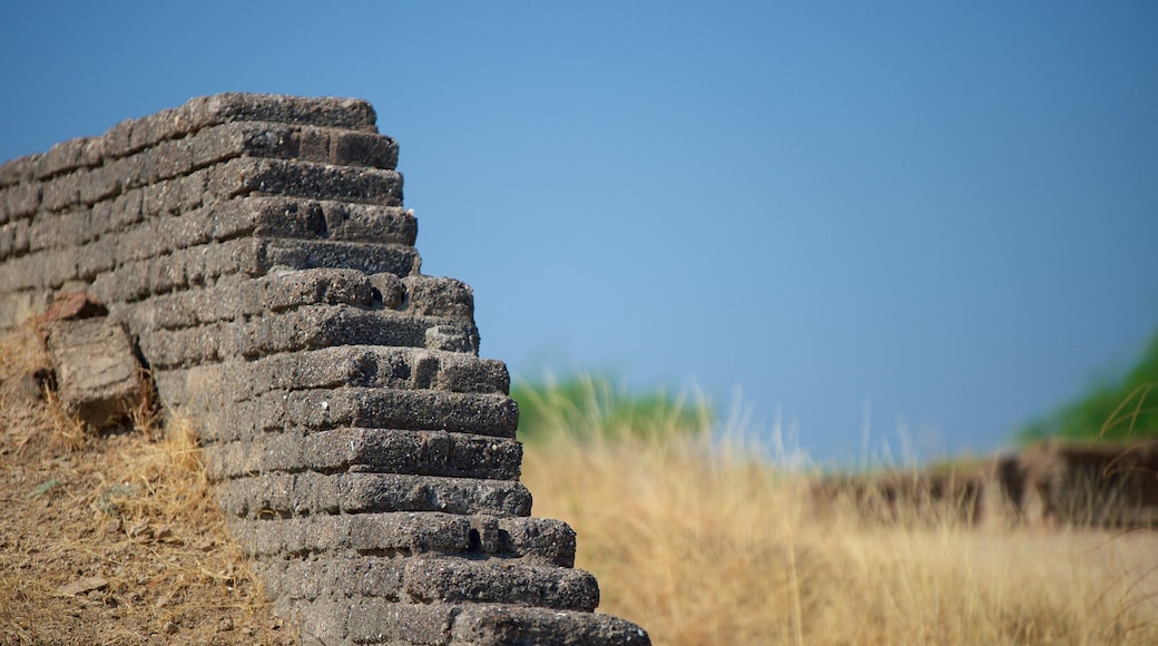 Lothal showing heritage elements and building ruins