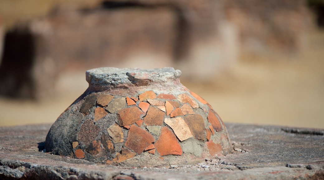 Lothal showing heritage elements and a ruin