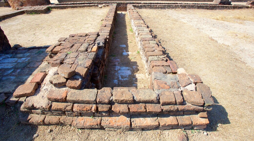 Lothal showing heritage elements and a ruin