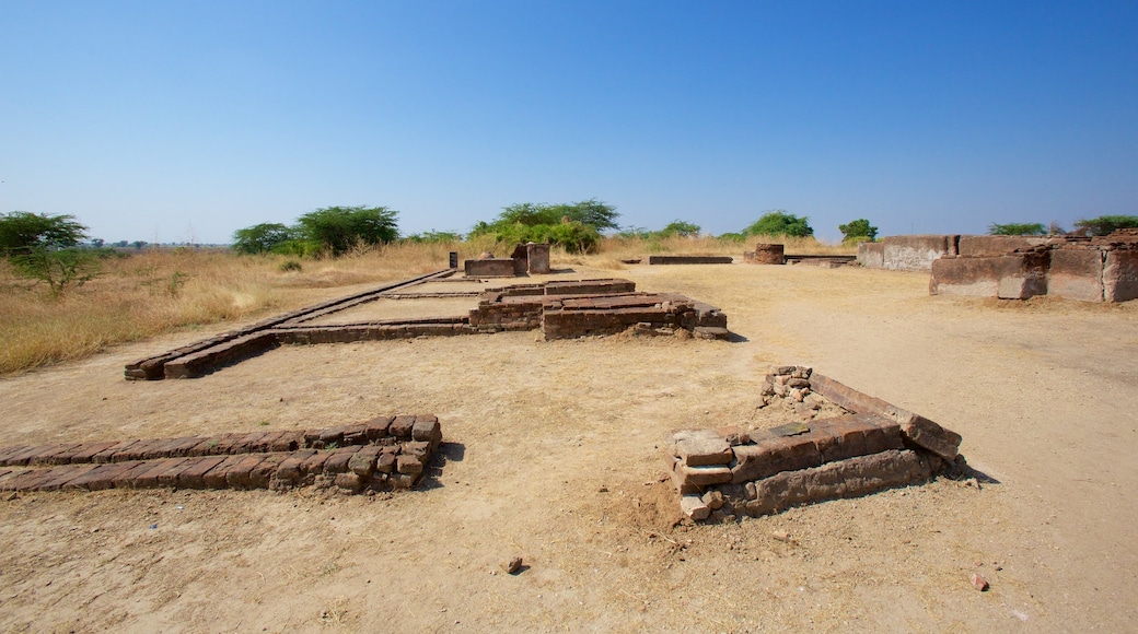 Lothal showing heritage elements and building ruins