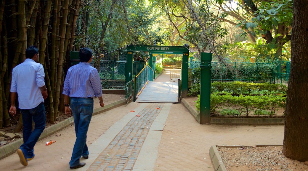 Cubbon Park showing a garden as well as a small group of people