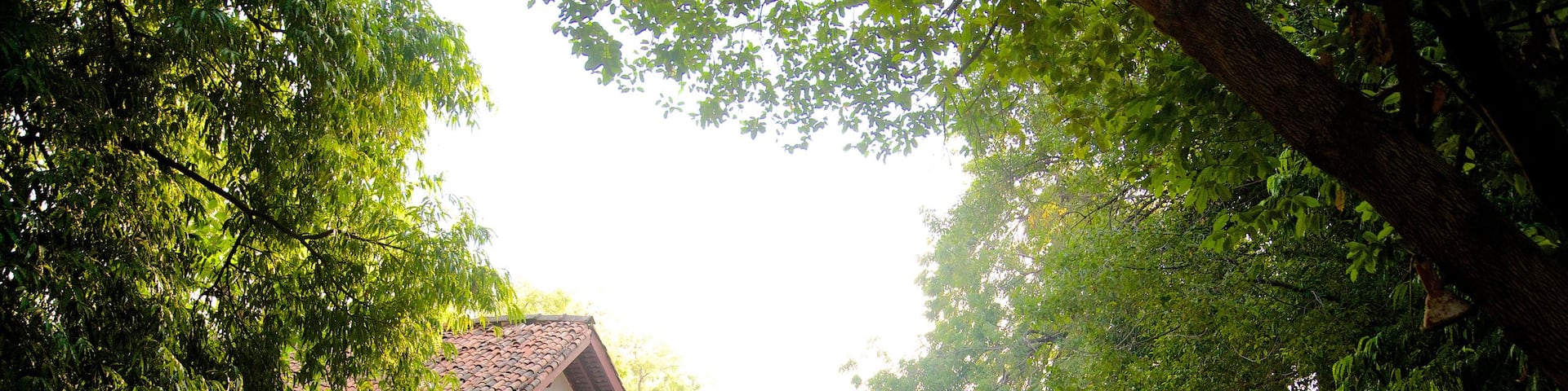 Gandhi Ashram showing religious aspects