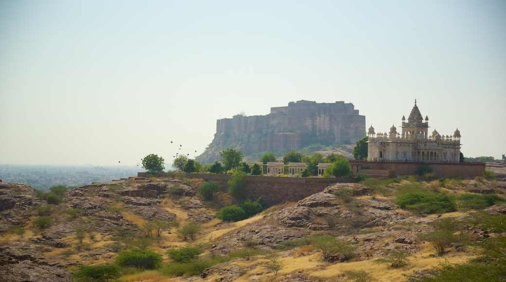 Jaswant Thada showing heritage elements, heritage architecture and tranquil scenes