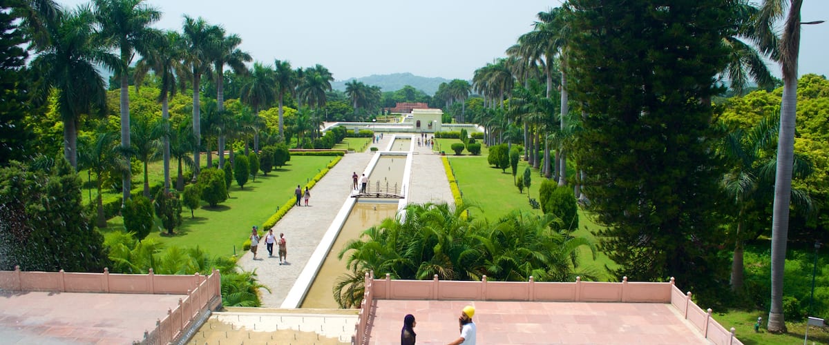 Jardines de Yadavindra que incluye un parque