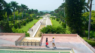 Jardines de Yadavindra que incluye un parque