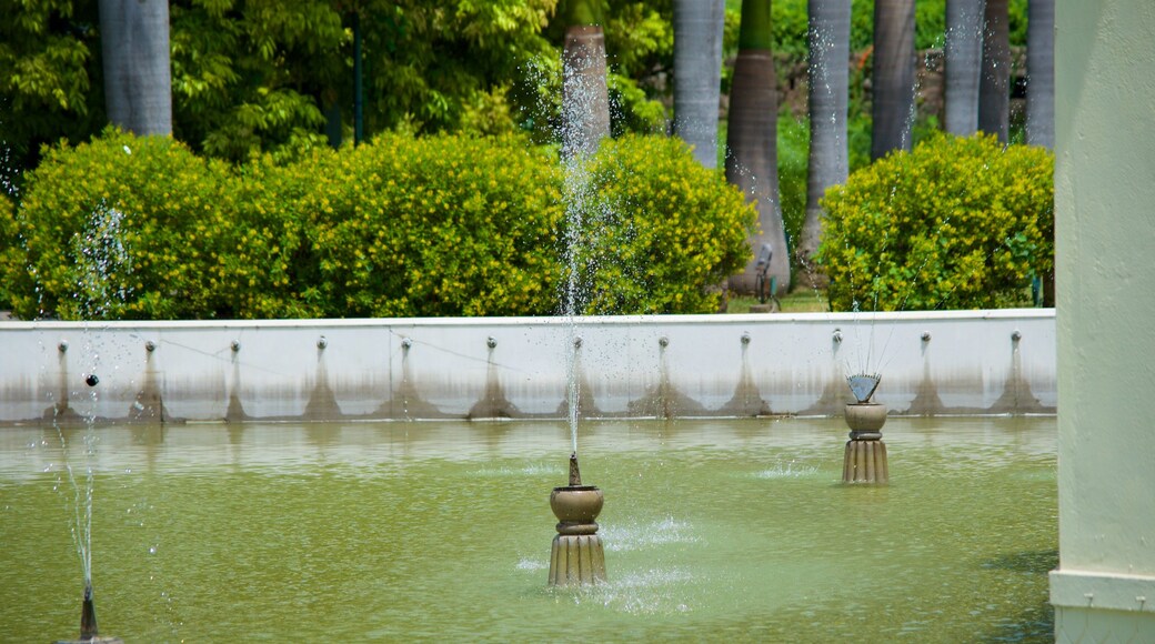 Yadavindra Gardens which includes a fountain, a lake or waterhole and a park