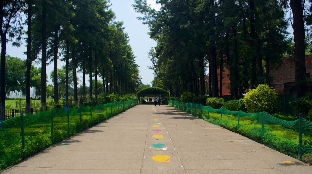 Zakir Rose Garden showing a garden