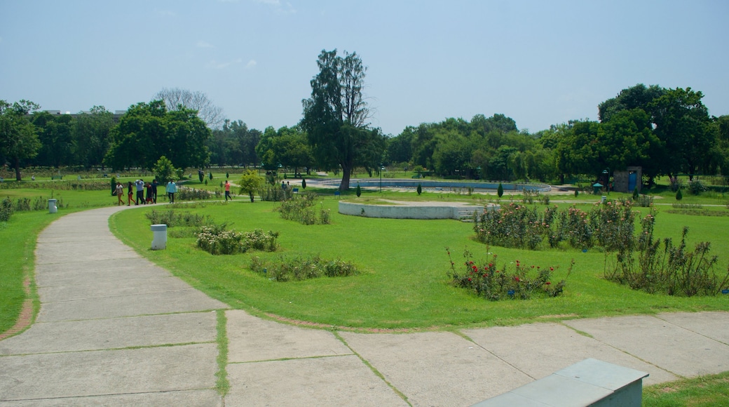 Zakir Rose Garden showing a park