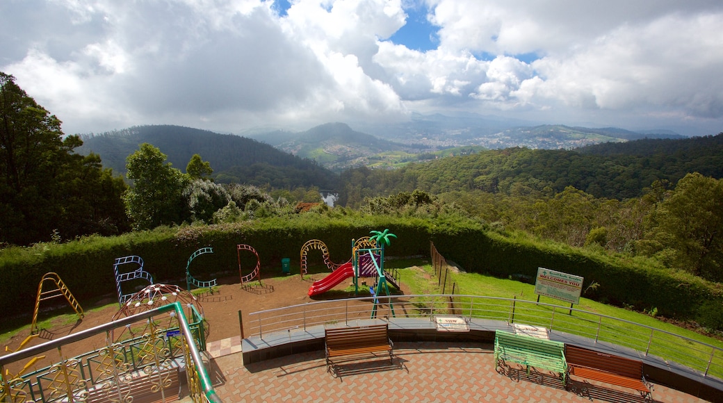 Doddabetta Peak showing views and a park