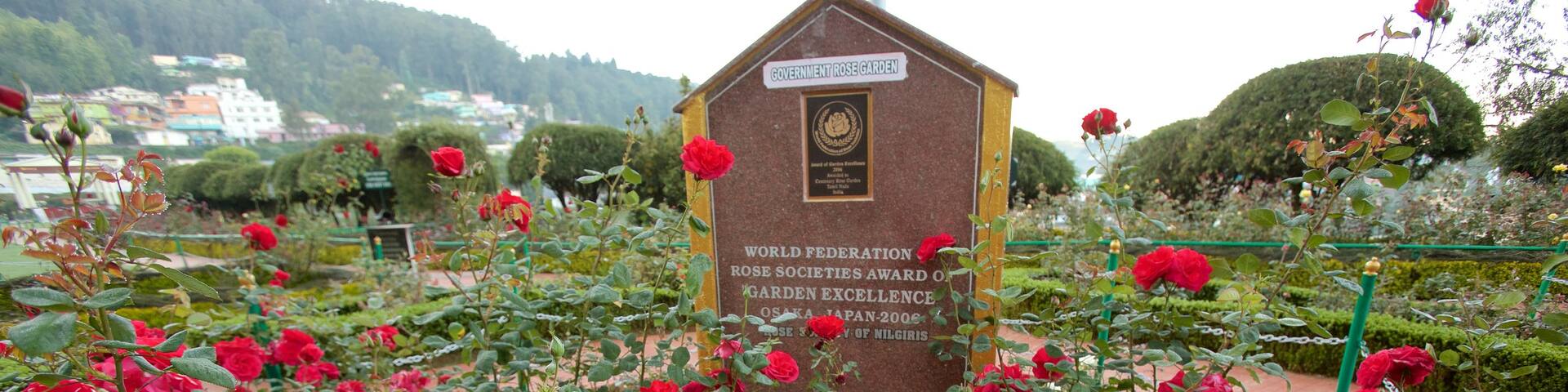 Rosengarten von Ooty welches beinhaltet Garten und Blumen