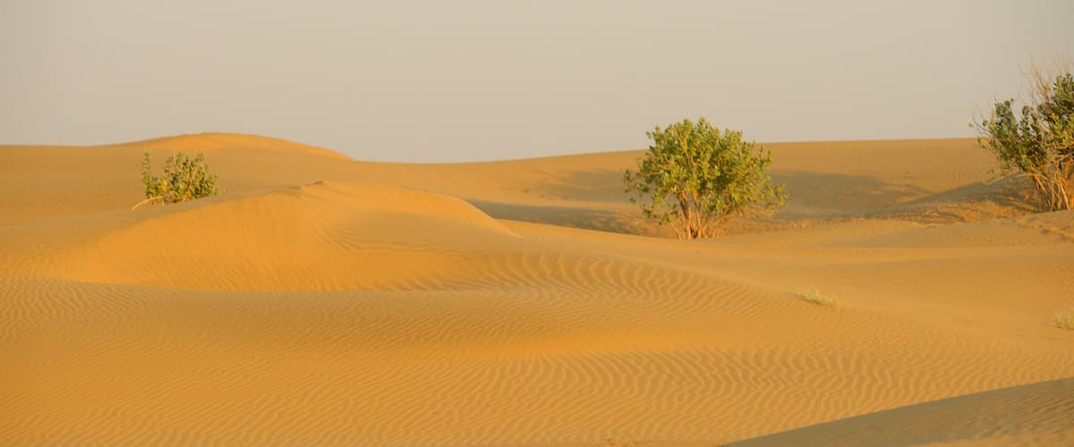 Khuri Sand Dunes showing tranquil scenes and desert views