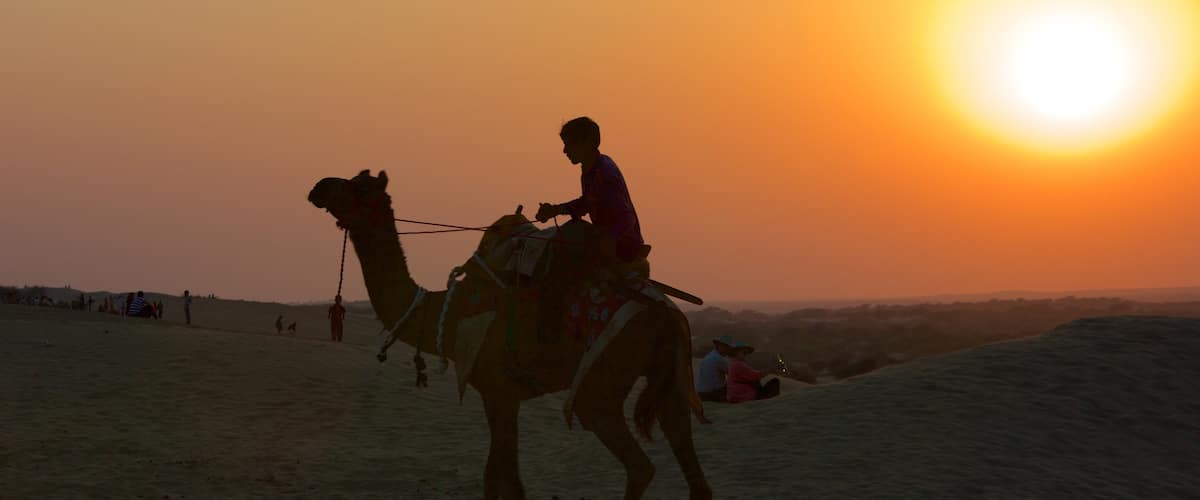 Dunes de Khuri mettant en vedette coucher de soleil, vues du désert et animaux terrestres