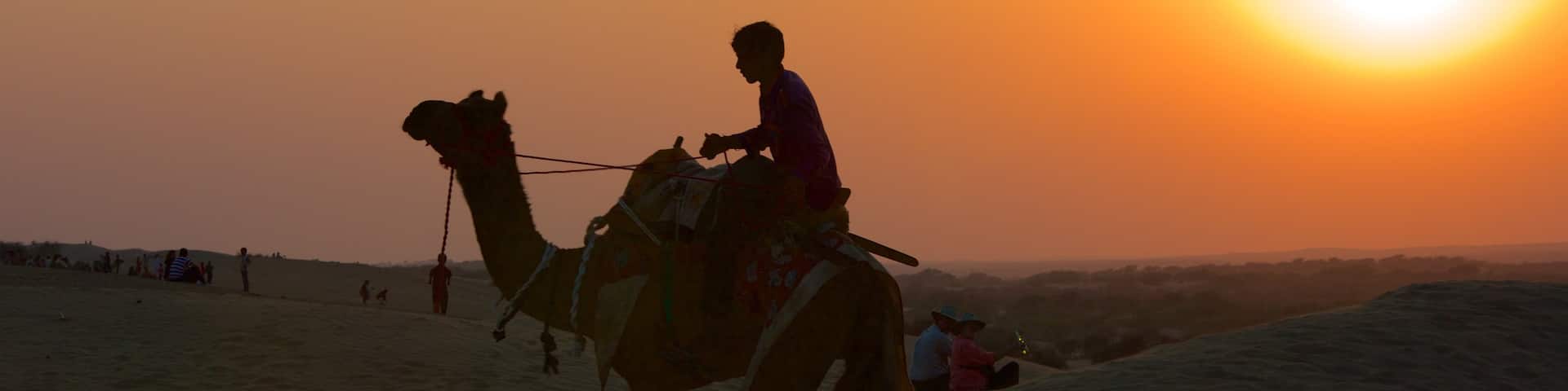 Khuri Sand Dunes showing desert views, a sunset and land animals