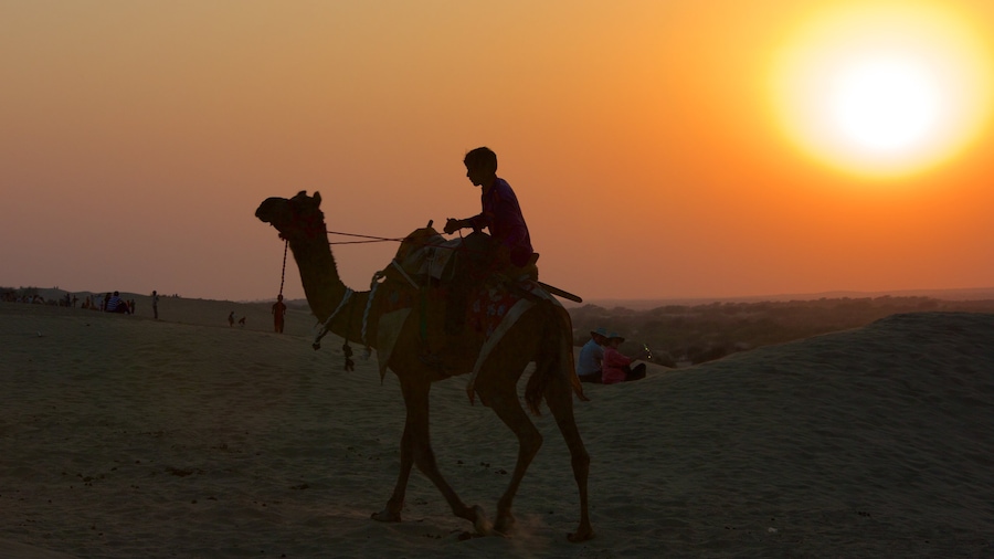 Khuri Sand Dunes bevat woestijnen, landdieren en een zonsondergang
