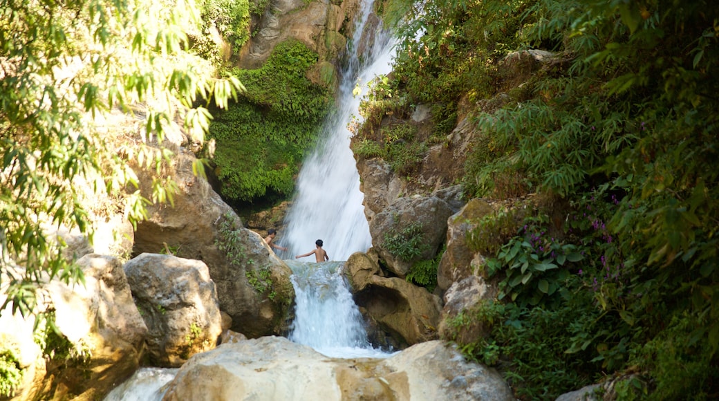 Bhata Falls which includes a river or creek and a cascade