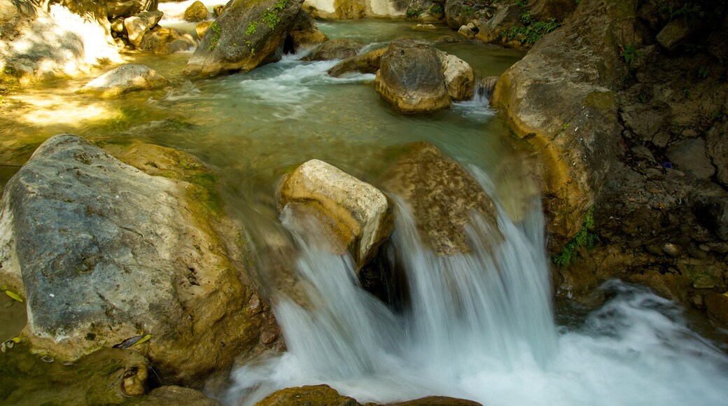 Bhata Falls showing a river or creek