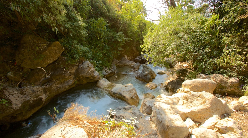 Bhata Falls featuring a river or creek