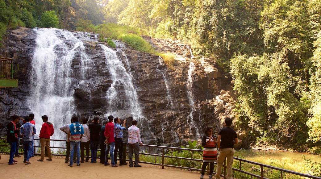 Coorg featuring a cascade as well as a small group of people