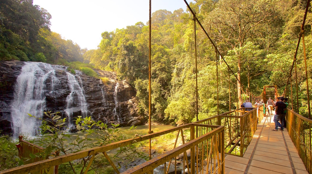 Madikeri showing a waterfall and a suspension bridge or treetop walkway