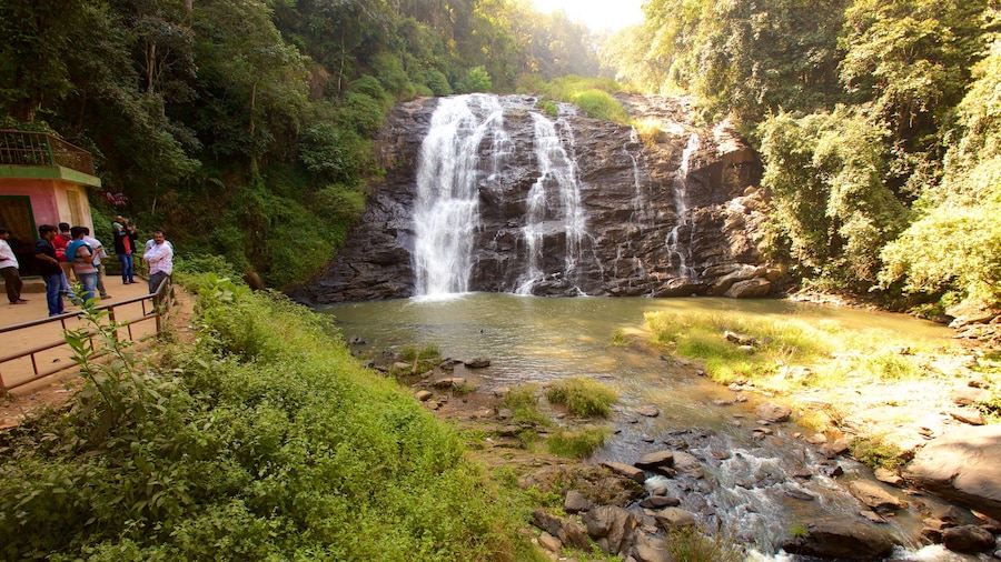 Madikeri che include cascata e lago o sorgente d\'acqua