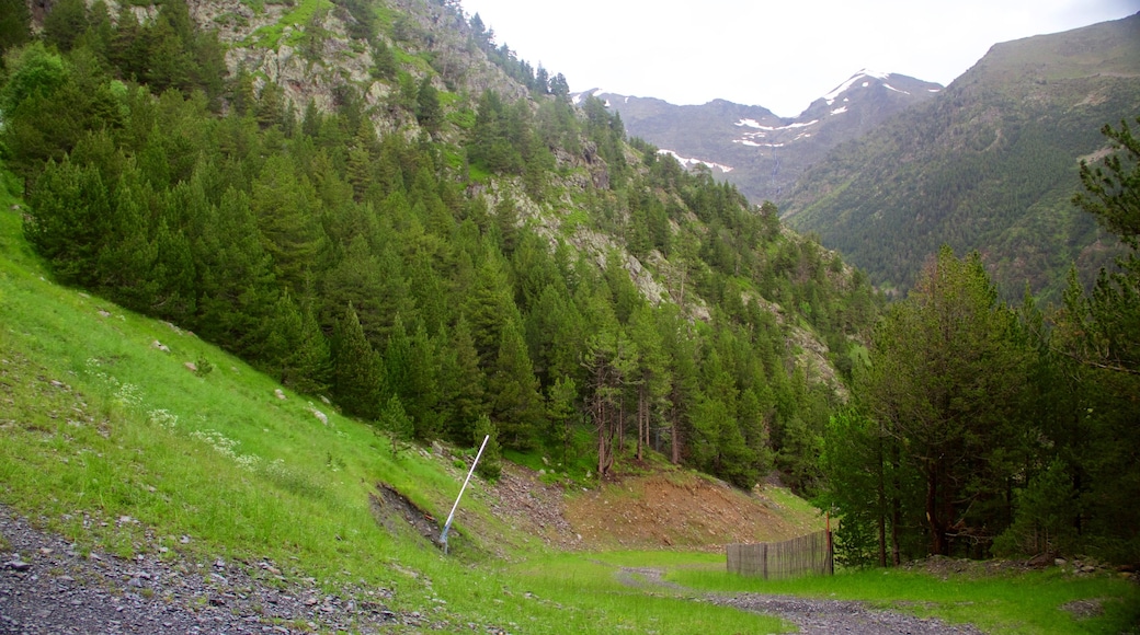 Arinsal featuring vuoret, metsänäkymät ja rauhalliset maisemat