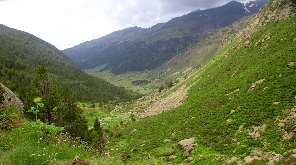 Soldeu which includes mountains, tranquil scenes and forests