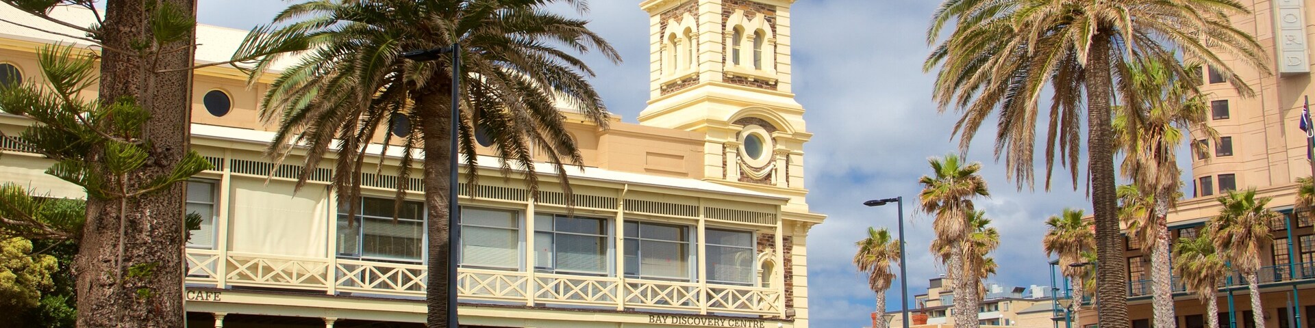 ๊ธ๋ ๋ฌ๊ทธ, ์ ๋ค๋ ์ด๋, ๋จํธ์ฃผ, ํธ์ฃผ