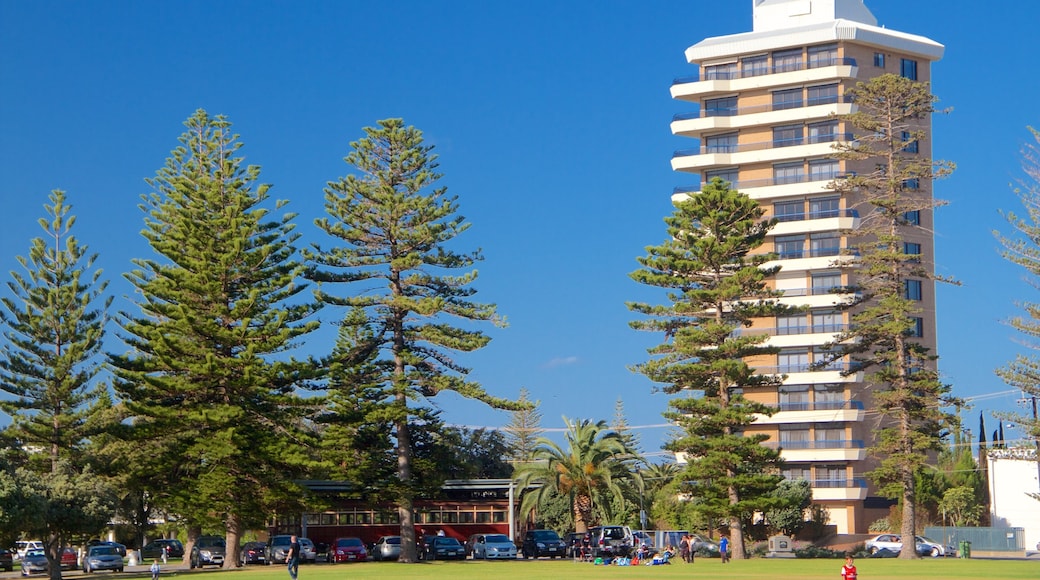 Glenelg showing a garden