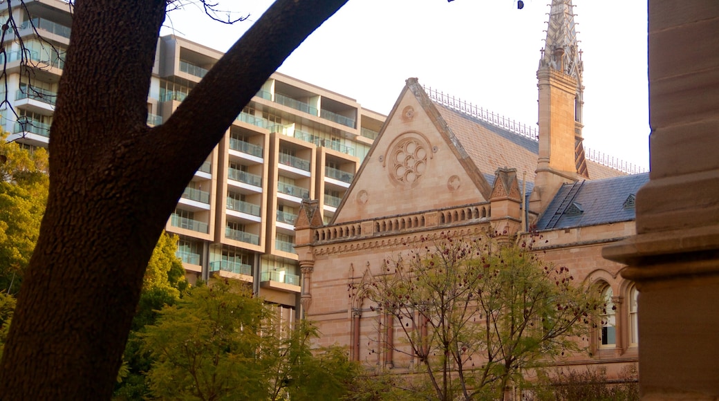 University of Adelaide mostrando arquitectura patrimonial y una ciudad