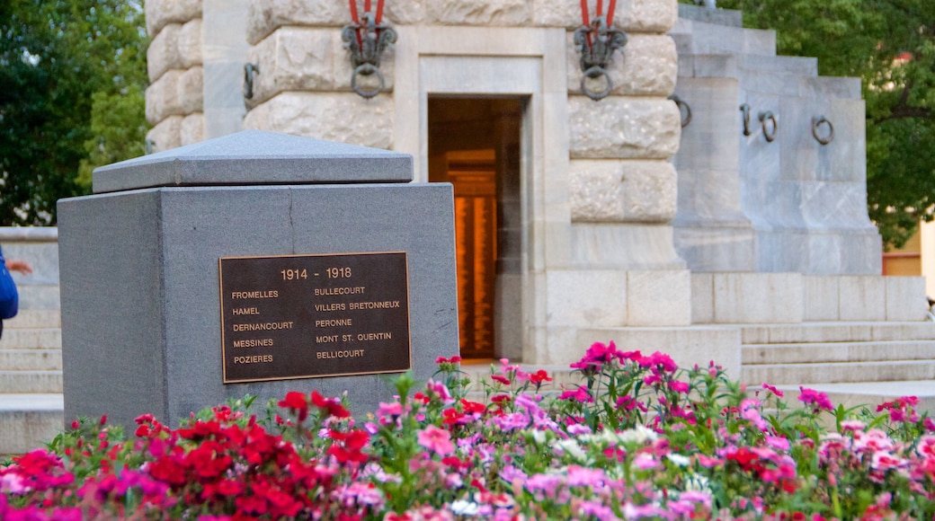 Adelaide War Memorial featuring flowers