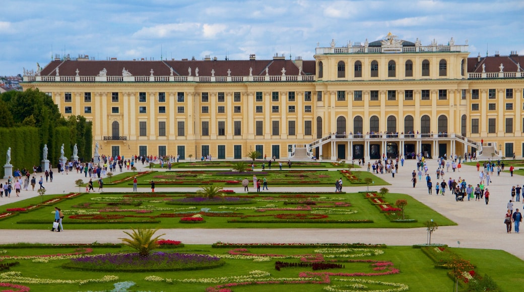 Schonbrunn 其中包括 花朵, 歷史建築 和 傳統元素