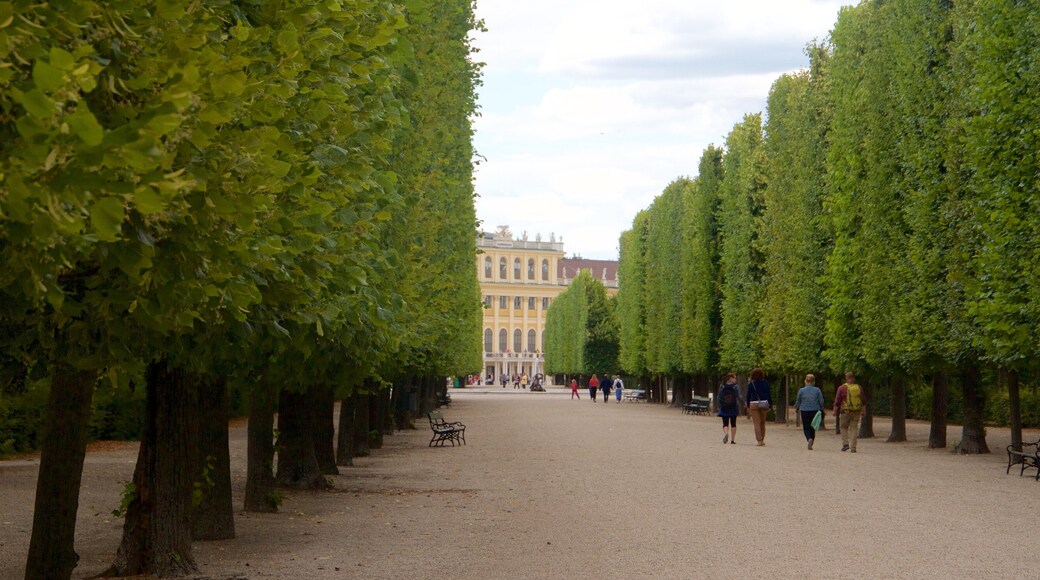 Schloss Schönbrunn bevat historisch erfgoed en een park