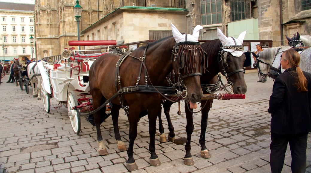 Viena mostrando animais terrestres e uma praça ou plaza