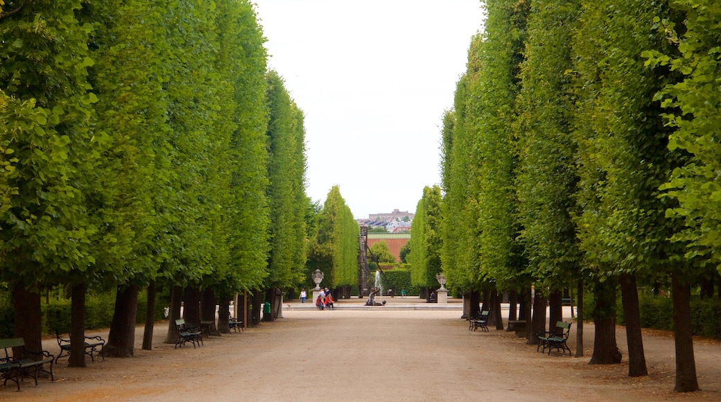 Schönbrunn som viser en park