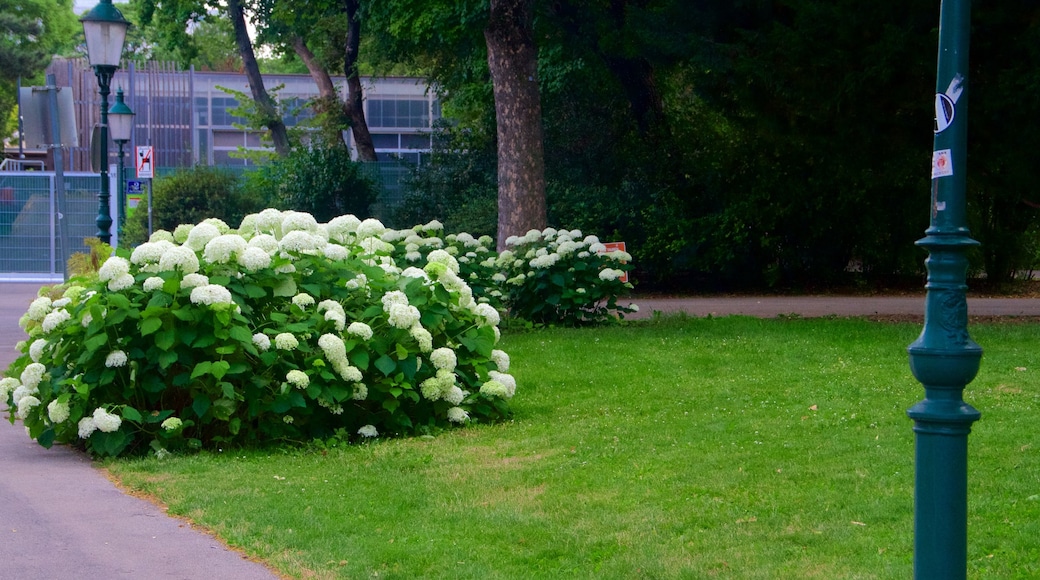 Parque Municipal de Viena caracterizando flores e um jardim