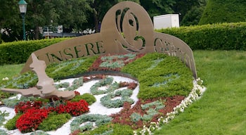 Parque Municipal de Viena que inclui sinalização, flores e um jardim