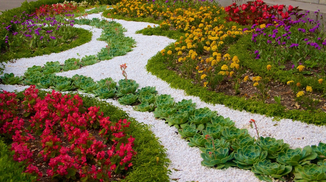 Parque Municipal de Viena mostrando flores e um parque