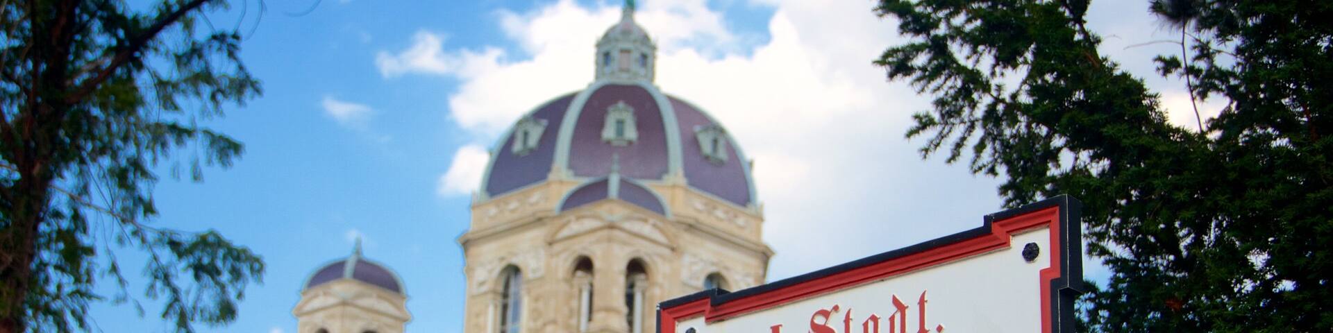 Maria Theresa Square showing heritage architecture and signage