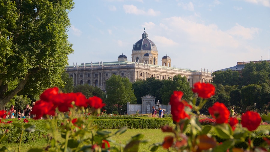 Museum of Natural History which includes heritage elements, flowers and heritage architecture