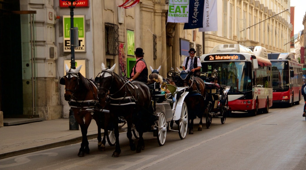 Michaelerplatz qui includes animaux terrestres et scènes de rue