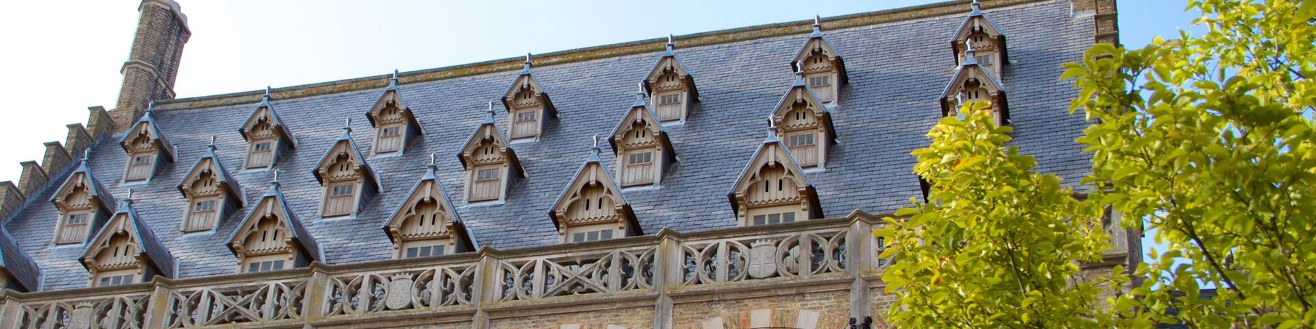 Ypres Market Square showing heritage architecture