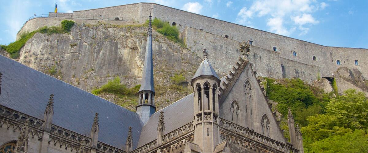 Dinant Cathedral showing heritage architecture and a church or cathedral