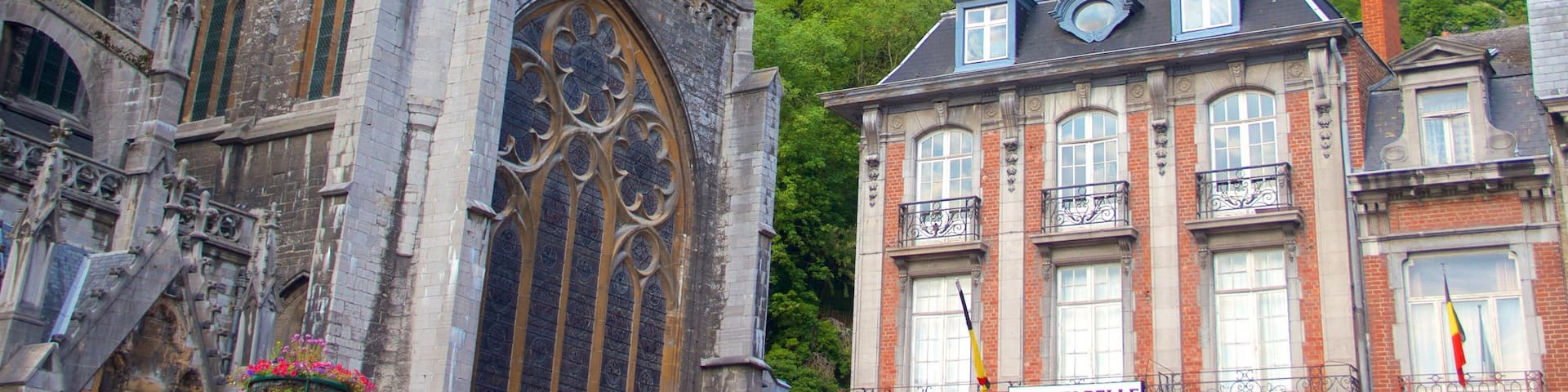 Dinant Cathedral showing a church or cathedral and heritage architecture