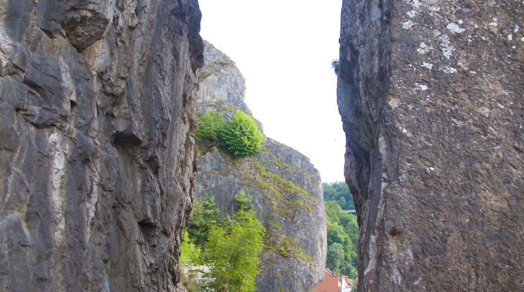 Dinant showing a gorge or canyon