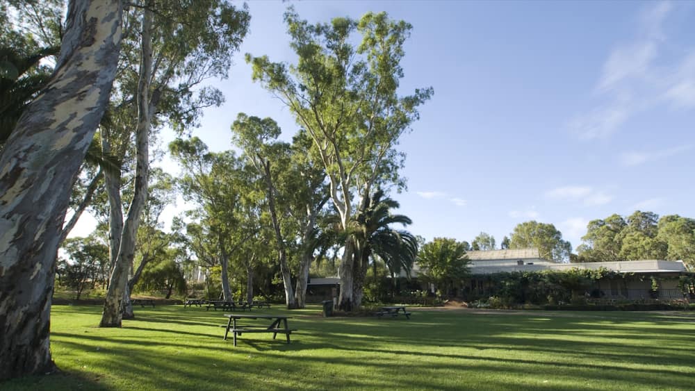 Peter Lehmann featuring a park